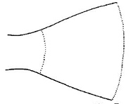 Familia Tetraodontidae_claves_03.jpg